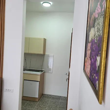 Stojanoski Apartment Ohrid